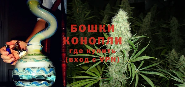 ПСИЛОЦИБИНОВЫЕ ГРИБЫ Алексеевка