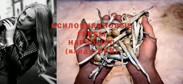 таблы Алексин