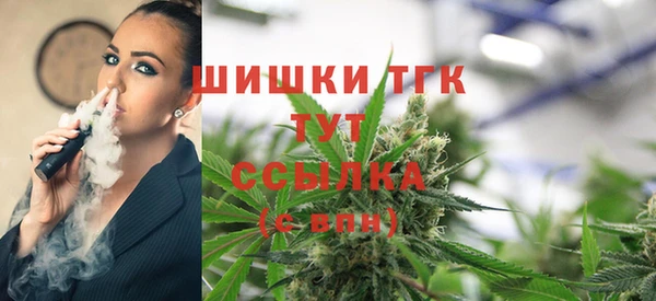 ПСИЛОЦИБИНОВЫЕ ГРИБЫ Алексеевка