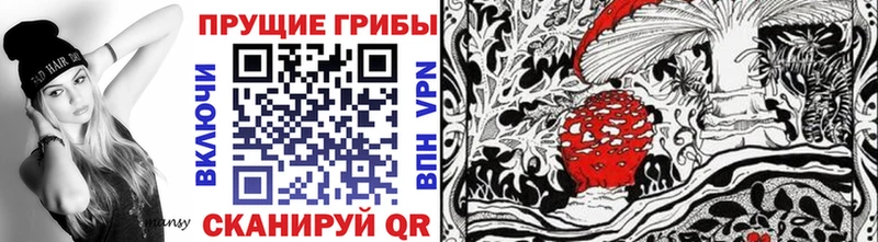 сайты даркнета наркотические препараты  Шенкурск  Псилоцибиновые грибы Psilocybe 
